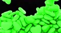 Hearts love fill screen transition pulse valentine sex romance dating loop 4k 4k or 4k+ Resolution