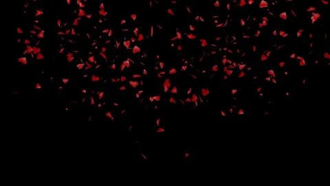 Hearts Particles Romantic Stock Footage 72287585