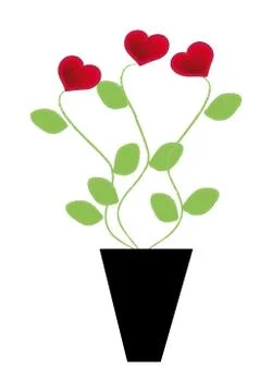 Hearts plant Stock Illustration