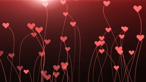 Hearts on Stalks Stock Footage 72546372