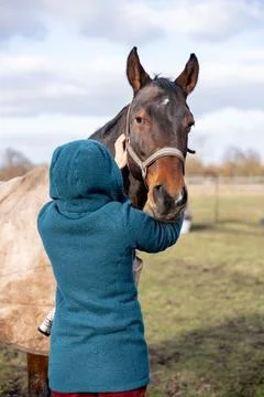 This heartwarming image captures a close-up, intimate moment between a person Stock Photos