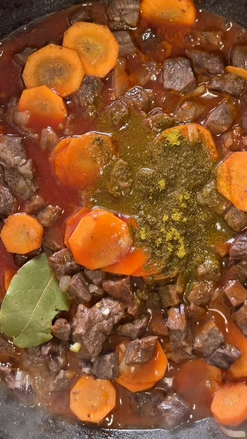 Hearty Beef Stew Stock Footage 310494301