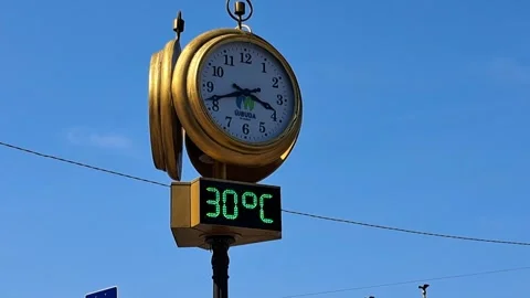Heat in Budapest. Close-up Stock Footage 311375529
