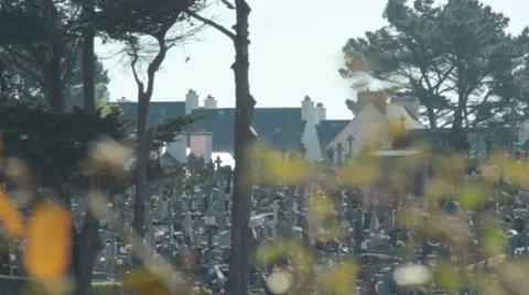 Heat to the cemetery Stock-Footage 43662321