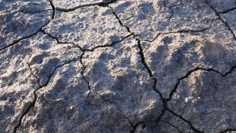 Heat cracked earth. Panorama Stock Footage 197591353