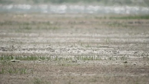Heat Haze Effect Stock Footage 280327537