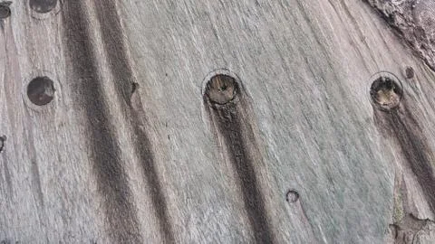 Heat Shield 库存照片