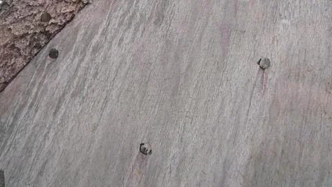 Heat Shield 스톡 사진