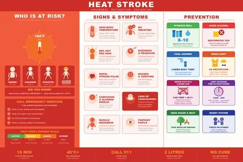 Heat Stroke Infographic Vector Symptoms Prevention First Aid イラスト素材