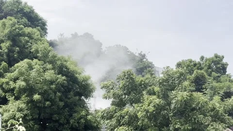 Heat wave caused fire on trees near hilly areas Stock Footage 312314783