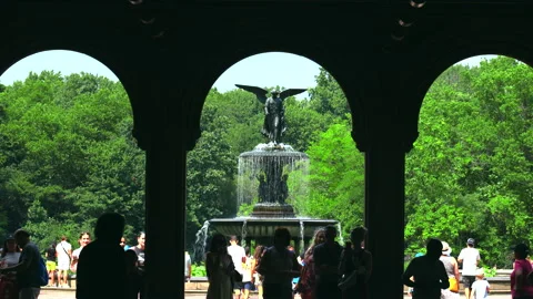 Heat Wave grips New York City 2022 動画素材 202148853