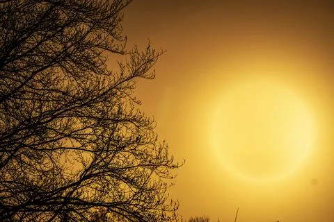 Heat wave in summer. dramatic orange sky. climate change and global warming. Stock Photos