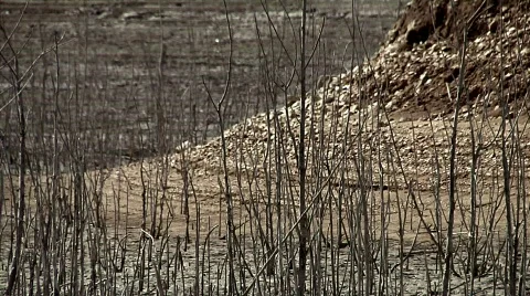 Heat waves 01 Stock Footage 330224