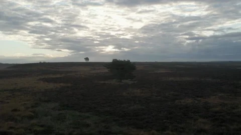 Heath - Drone Stock Footage 218389421