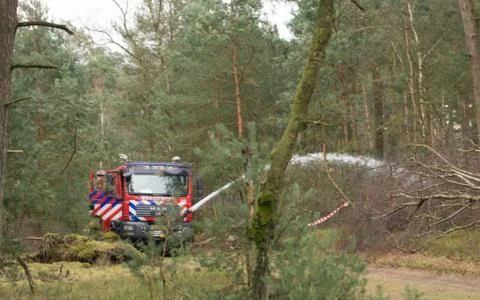 Heath fire Foto stock