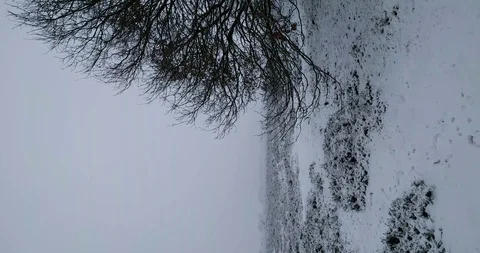 Heath landscape covered with snow - vertical shot Stock Footage 102448288