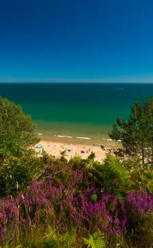 Heather on cliffs over sandy beaches at Poole near Bournemouth Stock Photos