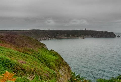 Heather fields on cap frehel in romantic travel Stock Photos