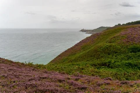 Heather fields on cap frehel in romantic travel Stock Photos