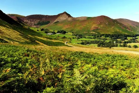 Heather Landscape Stock Photos