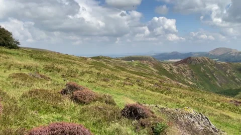 Heather on the Long Mynd in late August, Shropshire, England, UK Video stock 283346614