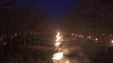 Heating orchards in spring in frost Stock Footage 107202288