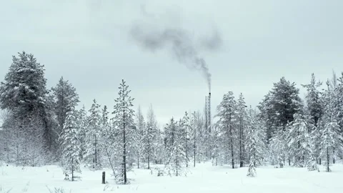 Heating plant among trees in cold winter day Stock Footage 263317439