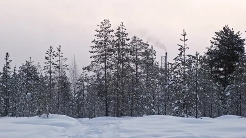 Heating plant among trees in cold winter day Stock Footage 263317495