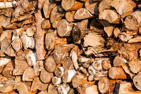 Heating woods Stock Photos