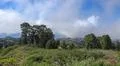 Heavenly clouds and thick fog on fertile mountain landscape in La Palma island Photo