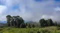 Heavenly clouds and thick fog on fertile mountain landscape in La Palma island Photo