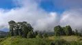 Heavenly clouds and thick fog on fertile mountain landscape in La Palma island Photo