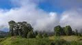 Heavenly clouds and thick fog on fertile mountain landscape in La Palma island Photo