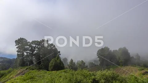 Heavenly clouds and thick fog on green fertile mountain landscape Stock Photos