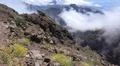Heavenly clouds and yellow flowers on rocky mountain peak in La Palma island Photo