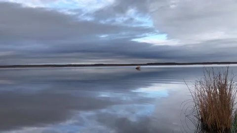 The heavenly cloudy landscape is reflected Vídeos de archivo 319695436