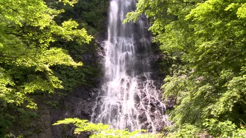 Heavenly Falls in Tenryu Valley Vídeos de archivo 332472586