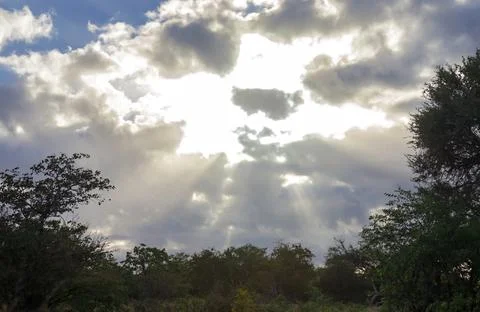 Heavenly landscape with sun rays between the clouds over the savanna. Stock Photos