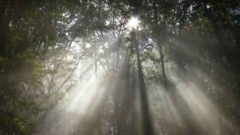 Heavenly Light Vídeos de archivo 106421560