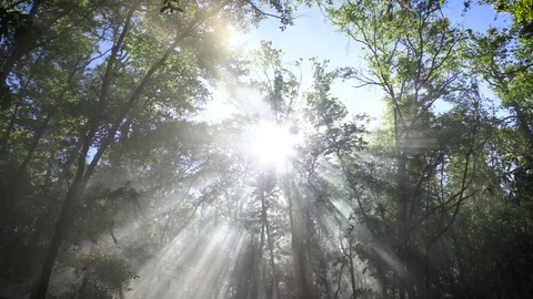 Heavenly Light Vídeos de archivo 106422484