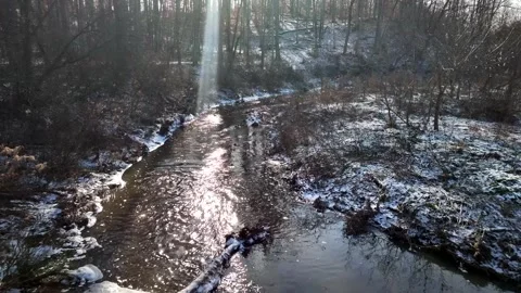 Heavenly light shining down on gentle flowing creek in Winter forest Vídeos de archivo 297774469