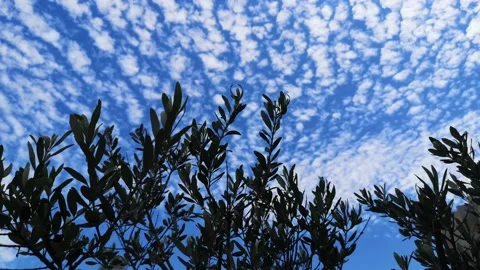 Heavenly sky with white clouds Stock Footage 164862099