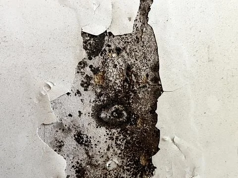 Heavily weathered wall with peeling paint exposing dark rusty metal surface Foto stock