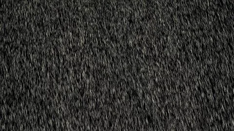 Heavy angled rain falling in front of the camera against black screen. Heavy  Illustrazione stock