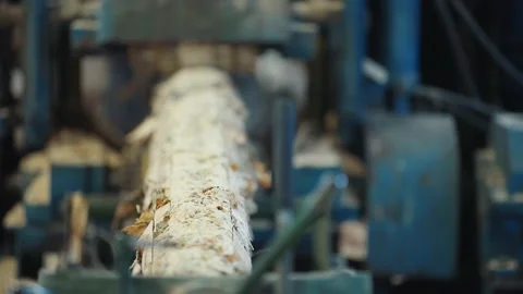 Heavy Automated Machine Processing Sawn Tree Log Into Material For Lumber Stock Footage 206168373