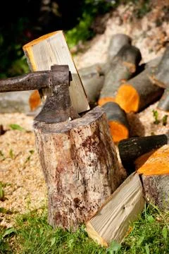 Heavy axe split alder orange log Stock Photos