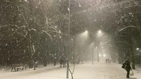 Heavy blizzard. Stock Footage 229918346