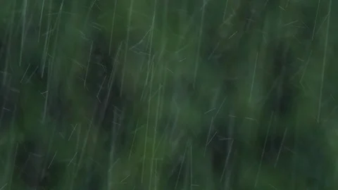 Heavy Bokeh Rain Stock Footage 109347400