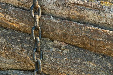 A heavy chain dangles quietly alongside neatly stacked logs amidst the sere.. Stock Photos