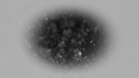 Heavy Christmas snowfall. Falling snowflakes snow background. 4K 스톡 동영상 220505448